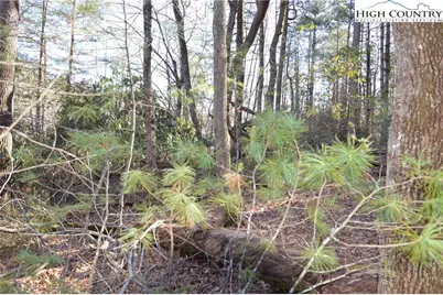 Tbd Greenhouse Road, Roaring Gap, NC 28668 - Photo 16