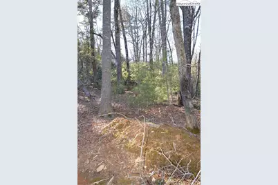 Tbd Greenhouse Road, Roaring Gap, NC 28668 - Photo 8