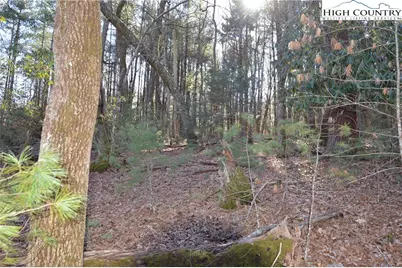 Tbd Greenhouse Road, Roaring Gap, NC 28668 - Photo 14