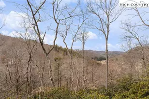 387 New Homestead Dr, Vilas, NC 28692 - Photo 26