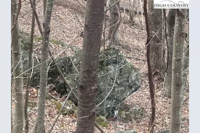 Tbd Larkspur Trail, Banner Elk, NC 28604 - Photo 8