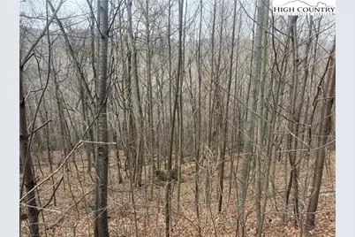 Tbd Larkspur Trail, Banner Elk, NC 28604 - Photo 2