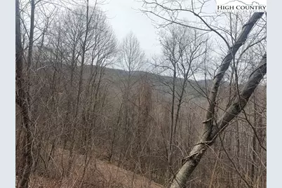 Tbd Larkspur Trail, Banner Elk, NC 28604 - Photo 10