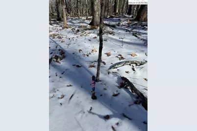 Tbd Lot 88 Relaxation Point, Todd, NC 28684 - Photo 14