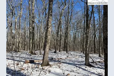 Tbd Lot 88 Relaxation Point, Todd, NC 28684 - Photo 8