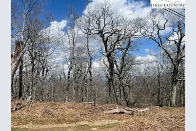 Tbd Fire Tower Road Road, Boone, NC 28607 - Photo 2