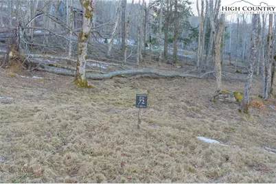 Es-72 Twisted Oak Path, Beech Mountain, NC 28604 - Photo 10