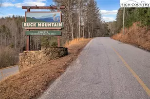 2533 Buck Mountain Rd, Purlear, NC 28665 - Photo 40