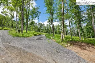 342 Up The River Dr, Creston, NC 28615 - Photo 1