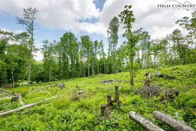 342 Up The River Drive, Creston, NC 28615 - Photo 14