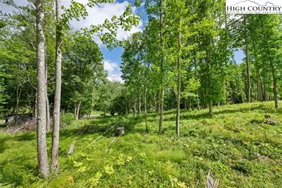 342 Up The River Drive, Creston, NC 28615 - Photo 12