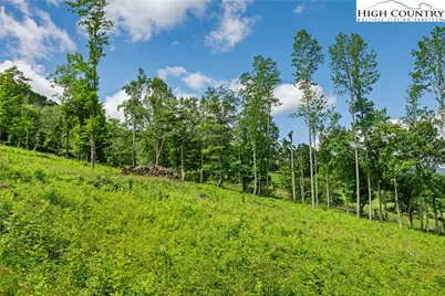 342 Up The River Drive, Creston, NC 28615 - Photo 22