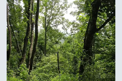 Lot 9 Vilas Overlook Drive, Vilas, NC 28692 - Photo 10