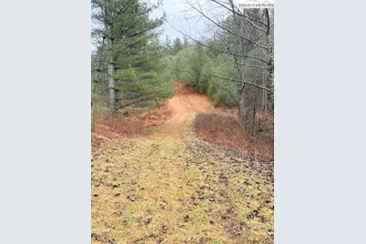 Tbd (35.93 Acres) Parson Hill Road, Lansing, NC 28643 - Photo 6