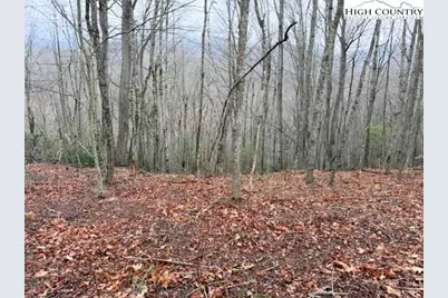 Tbd (35.93 Acres) Parson Hill Road, Lansing, NC 28643 - Photo 8