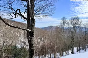 386 Hornblend Dr, Boone, NC 28607 - Photo 44