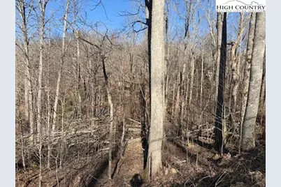 Lot 42 Cross Park Drive, Banner Elk, NC 28604 - Photo 6