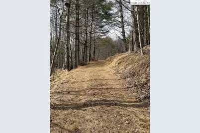 733 Clark Swift Road, Vilas, NC 28692 - Photo 14