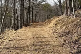 733 Clark Swift Rd, Vilas, NC 28692 - Photo 14