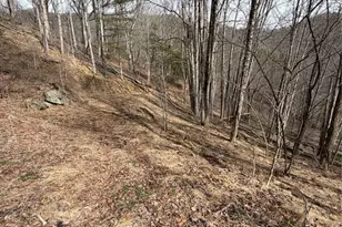 733 Clark Swift Rd, Vilas, NC 28692 - Photo 20