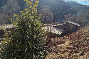 838 Rock Creek Rd, Creston, NC 28615 - Photo 2