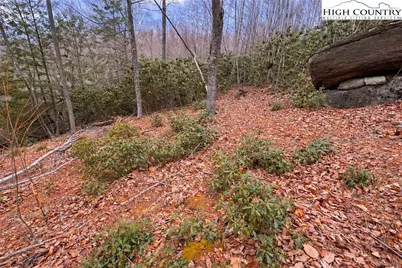 Lot 92 Beaver Dam Road, Elk Park, NC 28622 - Photo 2