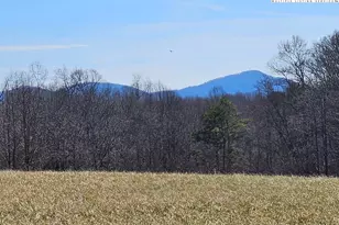 667 Pads Rd, Wilkesboro, NC 28697 - Photo 1