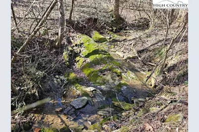 667 Pads Road, Wilkesboro, NC 28697 - Photo 14