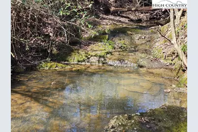 667 Pads Road, Wilkesboro, NC 28697 - Photo 4