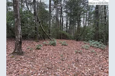 Lot 82 Deer Antler Drive, Purlear, NC 28665 - Photo 2