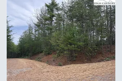 Lot 82 Deer Antler Drive, Purlear, NC 28665 - Photo 16