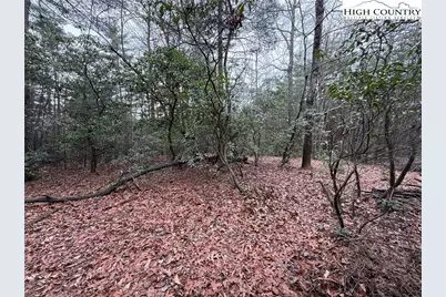 Lot 82 Deer Antler Drive, Purlear, NC 28665 - Photo 14