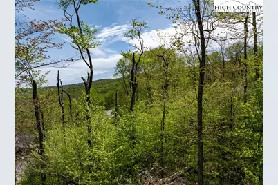 Es76 Lands End Trail, Banner Elk, NC 28604 - Photo 16