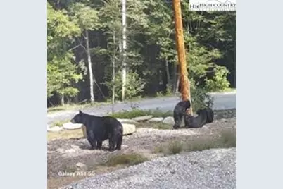 211 & 213 Wild Daisy Lane, Banner Elk, NC 28604 - Photo 30