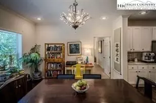 211 & 213 Wild Daisy Ln, Banner Elk, NC 28604 - Photo 10