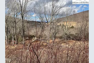 Lot 55 Foxfire Drive, Banner Elk, NC 28604 - Photo 4