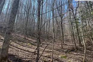 Tbd Hart Rd, Lansing, NC 28643 - Photo 1