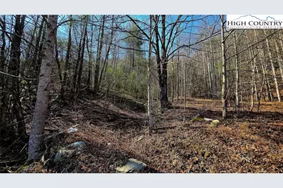 8043 N Old Nc Highway 16, Millers Creek, NC 28651 - Photo 38