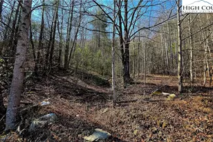 8043 N Old Nc Hwy 16, Millers Creek, NC 28651 - Photo 38