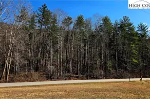 8043 N Old Nc Hwy 16, Millers Creek, NC 28651 - Photo 40