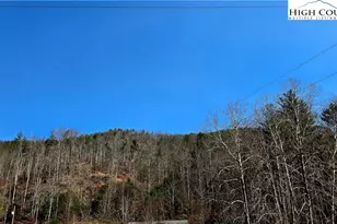 8043 N Old Nc Hwy 16, Millers Creek, NC 28651 - Photo 46
