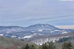 170 Denise Dr, West Jefferson, NC 28694 - Photo 1