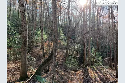 Tbd (Lot 1) Dugger Firetower Road, Lenoir, NC 28645 - Photo 6