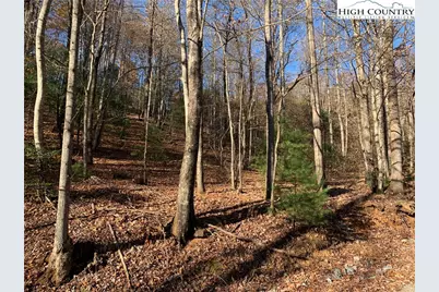 Tbd (Lot 1) Dugger Firetower Road, Lenoir, NC 28645 - Photo 2