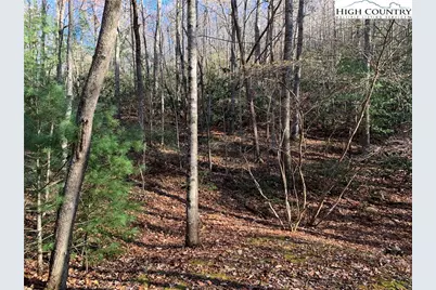 Tbd (Lot 1) Dugger Firetower Road, Lenoir, NC 28645 - Photo 1