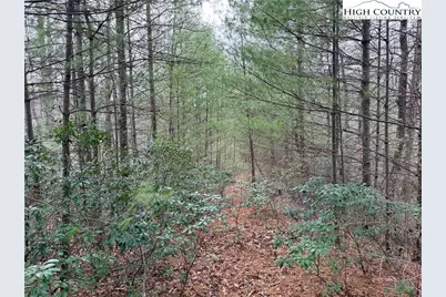 Tbd (Lot 4) Wolf Den Lane, Lenoir, NC 28645 - Photo 8