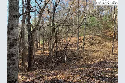 Tbd (Lot 4) Wolf Den Lane, Lenoir, NC 28645 - Photo 18