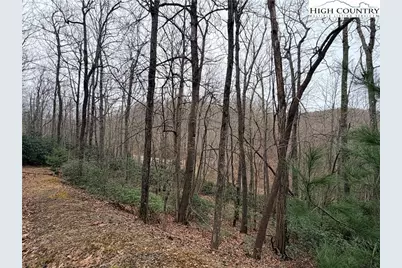 Tbd (Lot 19) Wolf Den Lane, Lenoir, NC 28645 - Photo 6