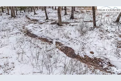 1417 Black Bear Inn Road, West Jefferson, NC 28694 - Photo 4