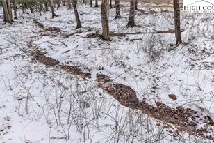 1417 Black Bear Inn Rd, West Jefferson, NC 28694 - Photo 4